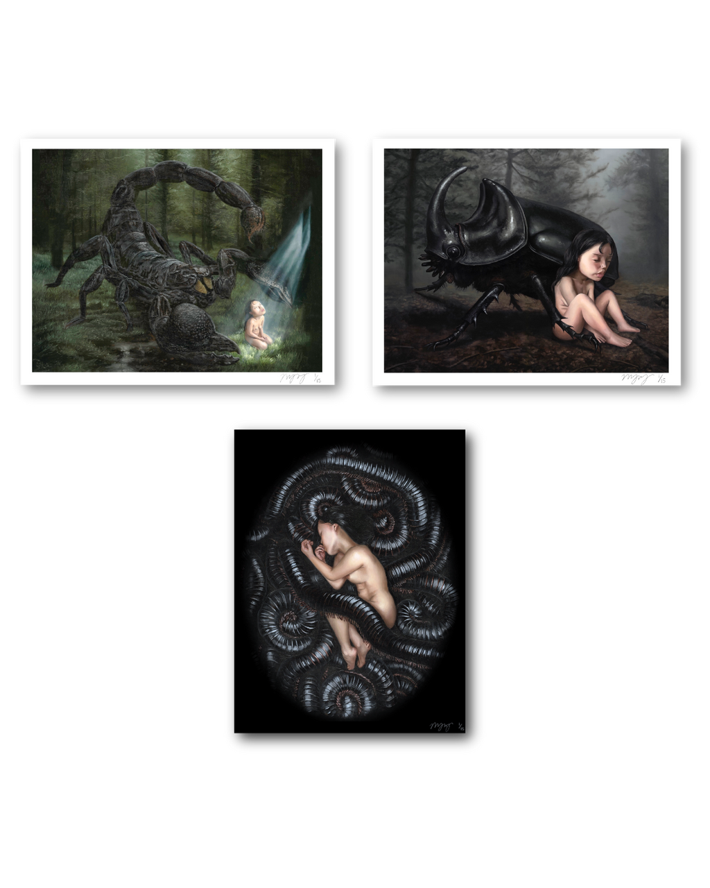 Nocturne Collector's Set
