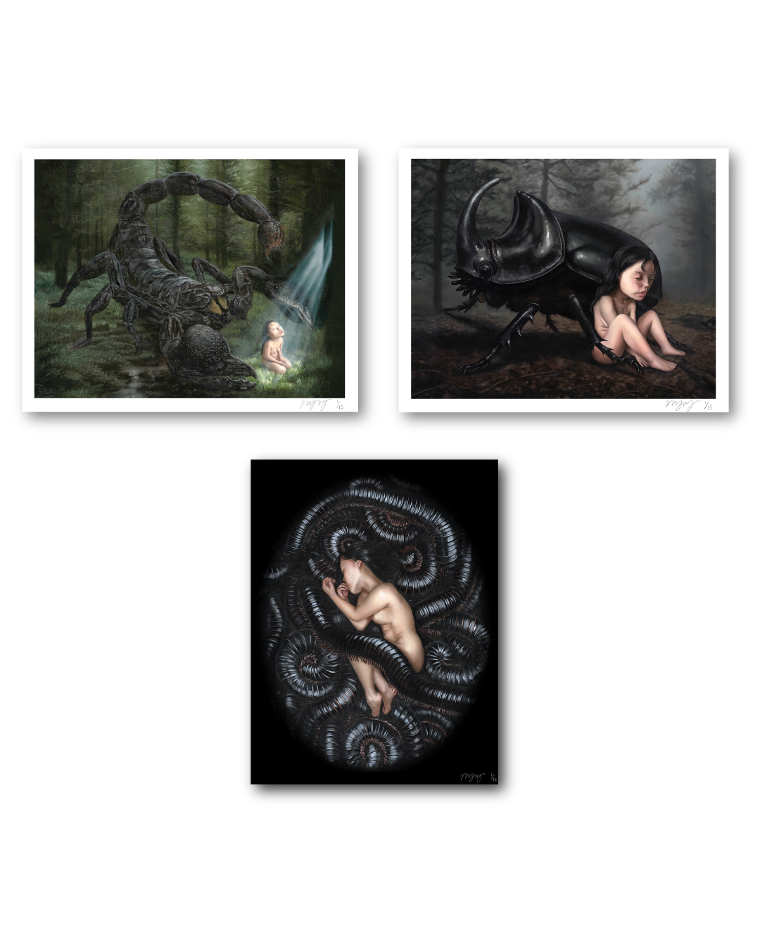 Nocturne Collector's Set